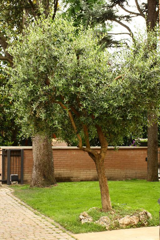 B&b Igea 50 Modena Exterior foto